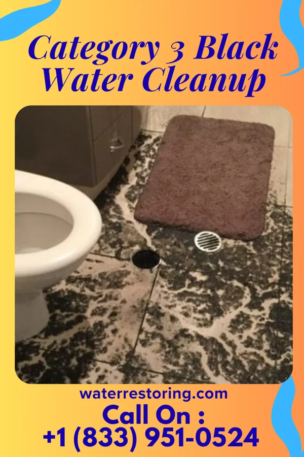 Category 3 Black Water Cleanup in Oakfield, WI